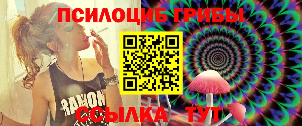 Псилоцибиновые грибы GOLDEN TEACHER Гулькевичи